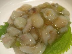 -京樽回転寿司(奥林匹克店)