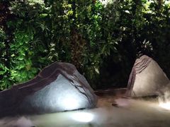 -明谷行馆·温泉