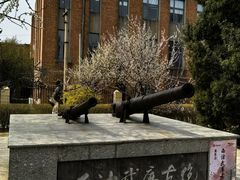 -桃花堤公园
