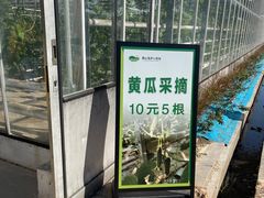 -苏州太湖西山岛开心农场