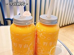 -野萃山·潮汕厚果汁(十亩地店)