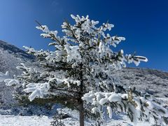 -太子岭滑雪场