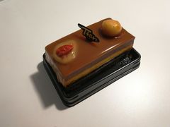 沙棘枸杞巧克力蛋糕-Tian品