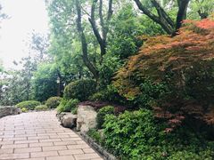 -天目湖涵田半山温泉