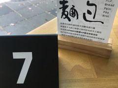 -WHEN PIGS FLY当猪飞