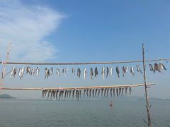 -东钱湖旅游度假区