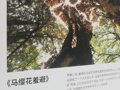 -中国湿地博物馆