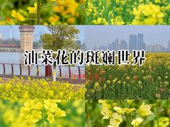 -九龙湖公园