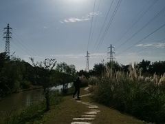 -上海长兴岛郊野公园