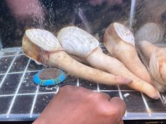 -家贺屋刺身寿司专门店