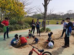 -风云岭森林公园