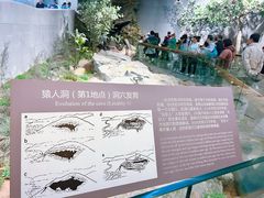 -北京周口店北京人遗址博物馆