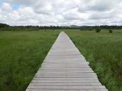 -塞罕坝国家级自然保护区