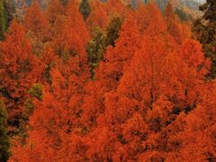 -山王坪喀斯特国家生态公园