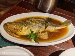 -前海沿·青岛菜(大拇指广场石老人店)