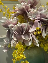 -静博士·养生养颜