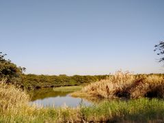 -大湾区中央湿地公园