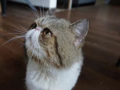 -参差咖啡(水果湖公园店)