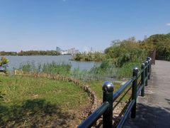 -长广溪湿地公园