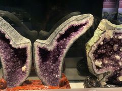 -正佳自然科学博物馆
