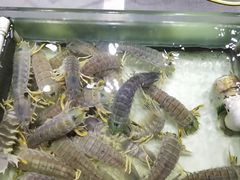 -强记海鲜·大排档(蛇口新街店)