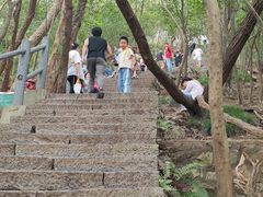 -紫金山山顶公园