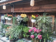 -龙姐私房菜(和顺古镇店)