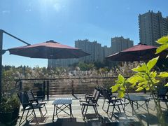 -昆山城市生态森林公园