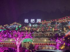 -枇杷园食为鲜火锅(南山店)