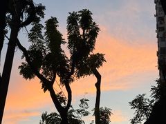 -半天妖烤鱼(方庄店)