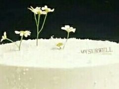 -麦雪尔甜品·生日蛋糕(新街口旗舰店)