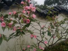 -普陀山风景名胜区-法雨禅寺