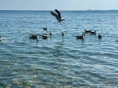 -银沙滩浴场
