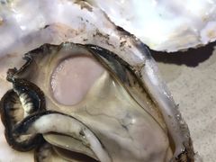 -千岛蚝高压锅生蚝·人参火锅(白云万达店)