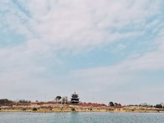 -上海海湾国家森林公园