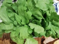 -十六蒲(桂林路店)