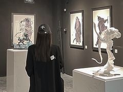 -星光岛