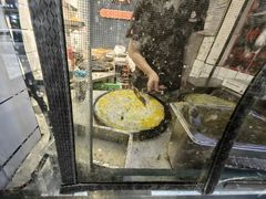 -南楼煎饼(滨江道店)
