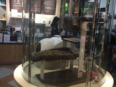 -宠小格时尚宠物生活馆(唐镇店)