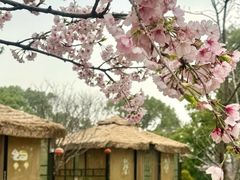 -无锡梅园公园