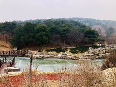 -北京西山国家森林公园