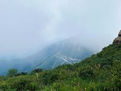 -白草畔自然风景区