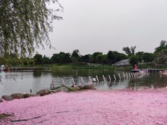 -上海杨姆庄园