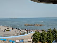 -海合安青岛极地海洋公园