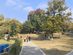 -白鹭湾湿地公园