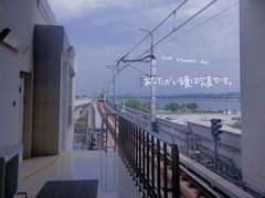 -龙舟池