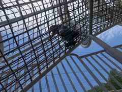 -宁波儿童公园(鄞州区)