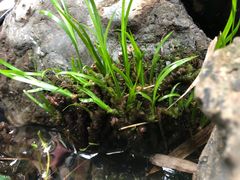 -三峡古玩城(泰古广场店)