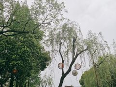 -西湖天地