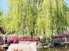 -羊亭河湿地公园